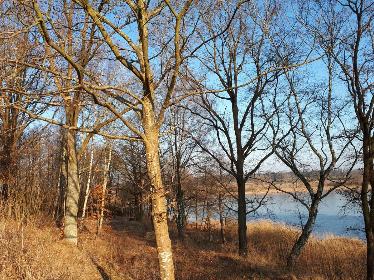 Labadkowo Villa Labedzie Kültér fotó