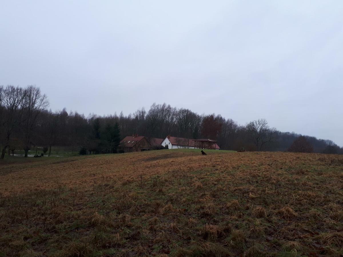 Labadkowo Villa Labedzie Kültér fotó