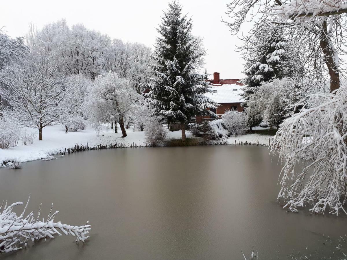 Labadkowo Villa Labedzie Kültér fotó